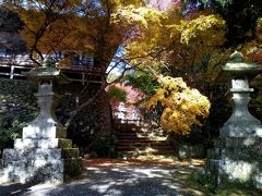 両子寺の参道