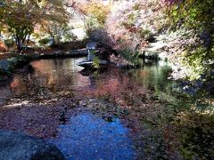 両子寺の池