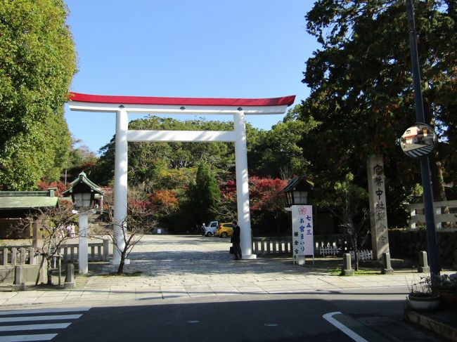 鎌倉宮の鳥居（11/19）。