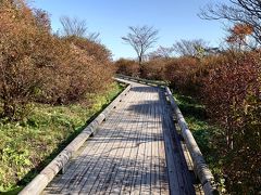 9:20 八幡園

続いて八幡園へ。
ツツジがきれいな時期とは雰囲気がかなり違います。