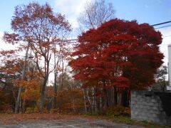 ソラテラスに行く途中に赤色が美しい紅葉を見つけたので
カメラに収めました。
今日はどのような景色が私たちを待っているのかと気分が
少しづつ高揚してきました。