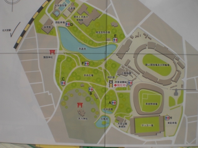 大宮公園に行って来ました ３ヶ所に分かれています それぞれ生い立ちが異なりますが 大宮 埼玉県 の旅行記 ブログ By さいたまさん フォートラベル