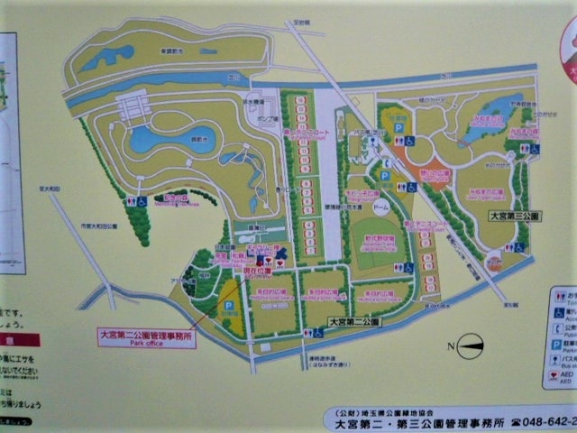 大宮公園に行って来ました ３ヶ所に分かれています それぞれ生い立ちが異なりますが 大宮 埼玉県 の旅行記 ブログ By さいたまさん フォートラベル