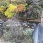 栃木県　松島温泉湯治の旅②　紅葉に囲まれ龍門の滝