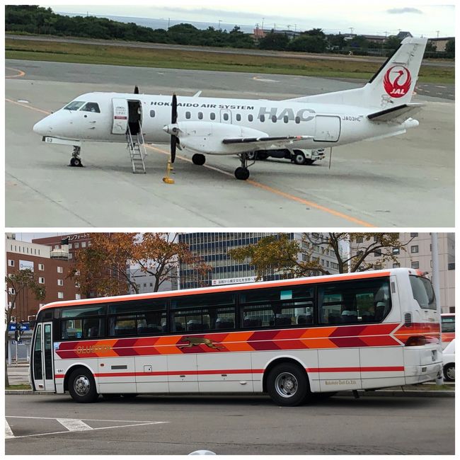 午後発の便で丘珠空港から函館空港へ。函館まで約40分弱のフライト。今回はかなり揺れました・・・空港からシャトルバスで函館駅へ向かいます。約20分・450円。<br /><br />SAABの飛行機はそろそろ退役だそうです。搭乗は多分今回が最後かなぁ・・<br />長い間本当にお疲れさまでした。