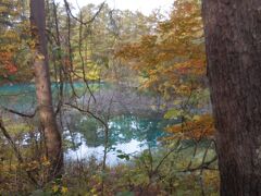 　青沼。五色沼の中で最も青い沼と言われ、パンフレットにもよく載っています。