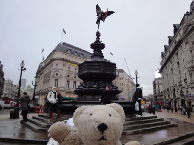 自転車事故に見る日本と韓国の