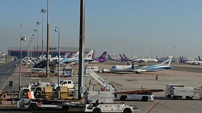 当然なのでしょうが、出番をなくした飛行機が大量に止まってます。<br />なんか、悲しい……