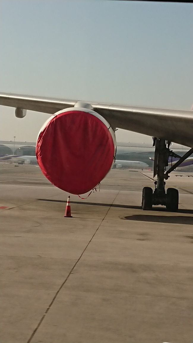 バス移動だったので、こんなのも見れた。<br />出番のない飛行機のエンジンに、カバーを付けてましたよ。