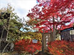 久米路峡の紅葉