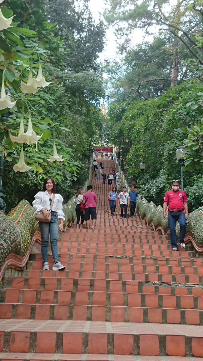 途中、渋滞もあって約1時間でドイステープ到着。<br />上のお寺まではエレベーターもあるけど、階段で行くよ～<br />そんなに長くないから、階段をオススメ。