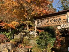 そして、車を走らせ付知峡へ。
くねくね道を約20分ほど上がってやってきました。。山道は細いし怖い～