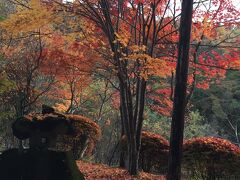 美しい風景が心に残ります。天候のおかげで紅葉が目にできました