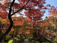 宝筐院