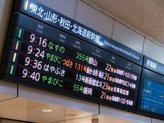 東京駅。
東北新幹線 9:36発 はやぶさ１３号で新青森に向かいます。
もっと早い時間の列車にすれば時間を有効に使えると思いますが、これでも私たちとしては頑張って早起きしたのです。