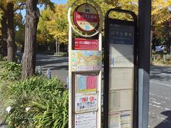 ●横浜山下公園通り

今回の旅のスタートは、いきなりこのバス停から。
東京都内から東急東横線に乗り、相互直通運転しているみなとみらい線の終点「元町・中華街駅」で下車。
近くのホテルに荷物を預けたのち、「山下公園」に並行する「横浜山下公園通り」の「山下公園バス停」にスタンバったのが、ちょうどお昼の12時30分くらいとなりました。

この日の午後は、このエリアの定番観光スポットを巡る周遊バス「あかいくつ」号に乗り、港町・横浜をぷらっと散歩していくことに♪