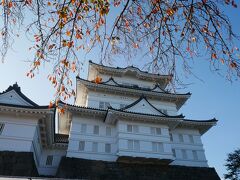 紅葉した桜の葉とともに見上げる小田原城。