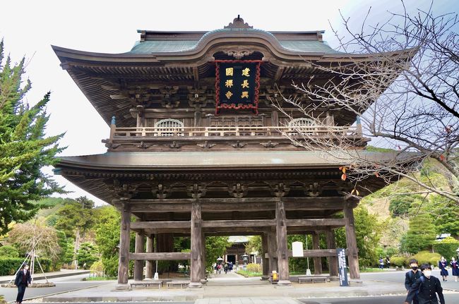 ヌーベルシノワと花手水をちょこっと楽しむ鎌倉 鎌倉 神奈川県 の旅行記 ブログ By Puyomushiさん フォートラベル ヌーベルシノワと花手水をちょこっと楽しむ鎌倉 鎌倉 神奈川県 の旅行記 ブログ By Puyomushiさん フォートラベル