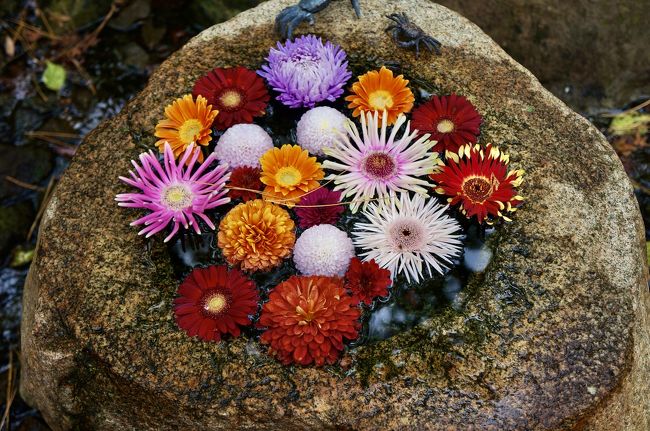 ヌーベルシノワと花手水をちょこっと楽しむ鎌倉 鎌倉 神奈川県 の旅行記 ブログ By Puyomushiさん フォートラベル ヌーベルシノワと花手水をちょこっと楽しむ鎌倉 鎌倉 神奈川県 の旅行記 ブログ By Puyomushiさん フォートラベル