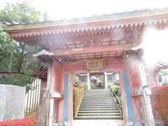 チェックインにはまだ時間があるので、近くの薬王院温泉寺にお参りにいきました。