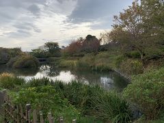 今泉名水桜公園は小さな池になっていました。