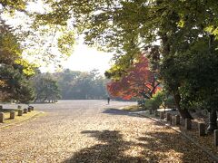 翌朝　事前に予約済みだった京都仙洞御所に向かいます。京都御苑は広いので　散策しながら歩きました。
ワンちゃんお散歩とか朝ヨガしてる　入園自由です　
地元の人はここに無料で来れるなんて　広々していて　いいなあ