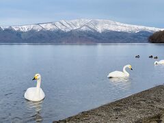 ランチの予約まで少し時間があるので、屈斜路湖周辺をドライブします。