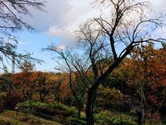 再び児童遊園地に入ります。
今度は環境支援センター側を進みます。