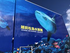 マンボウがいる
越前松島水族館
ここの駐車場も無料です
イルカのショーなどアトラクションの時間はホームページで調べてから行くといいです。