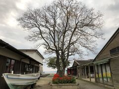 能古島能古渡船場脇の飲食・土産物屋街。朝7時半ではさすがにどこも閉まっている。