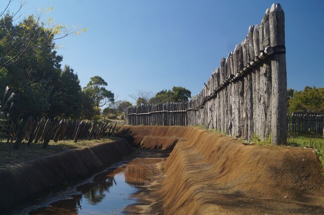 集落の周囲はこのように堀をめぐらせ、柵で囲ん<br />でいる。<br /><br />堀や柵は発掘によって発見された通りに掘り、柱<br />列跡に杭を埋めたものである。<br /><br />縄文時代の遺跡の人たちは集落の周囲を囲うとい<br />うことはしなかったようだが、弥生人たちはこの<br />時期からすでに「国境」という概念があったようだ。<br /><br />狩猟採集民族と農耕民族の違いだろうか。