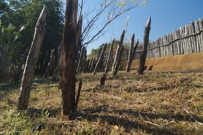 堀の周囲には逆茂木（さかもぎ）という杭が不規<br />則に突き出していて、別の村というか集落との戦<br />闘があったことをうかがわせる。