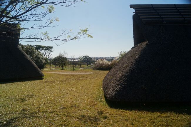 住居は丘陵地にあり、南側に平野部が広がっている。<br /><br />人口は1200人くらいいたとされており、弥生時代で<br />は相当大きな集落だったと思われる。