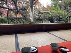 お茶をいただきます