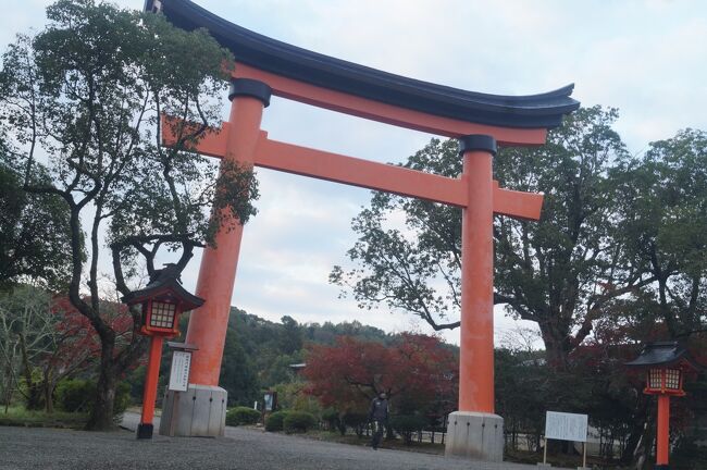 真っ赤な鳥居がある。