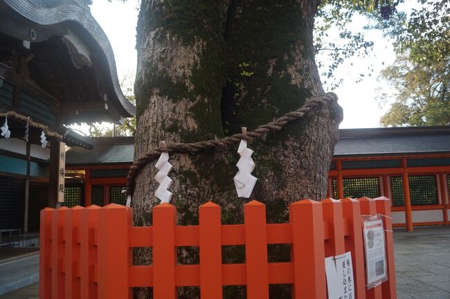 出雲大社に祀られている大国主大神（おおくに<br />ぬしのおおかみ）がどういう事情で祀られるよ<br />うになっのか、ご存じだろうか。<br /><br />神話の世界の「出雲の国譲り」である。<br /><br />天照大神が葦原中国（あしはらのなかつく<br />に）、つまり日本は、我が子が統治する国<br />である。しかし、大変乱れているので神を<br />遣わして平定せねばならぬと仰せになった。<br /><br />そこで、何人か神を派遣したもののうまく<br />いかず、最終的に建御雷神（たけみかづち<br />のかみ）を遣わした。建御雷神は出雲の浜<br />辺に剣を逆さに突き刺し、その上にあぐら<br />をかき、ここは我が国が治めるべき土地、<br />そのことについてどう考えておるのかと問<br />う。すると大国主の２人息子は、この国は<br />天つ神（あまつかみ）のご子孫に献上いた<br />しますと宣言した。<br /><br />２人の息子がそんなことを言うので、大国<br />主もこの国は献上いたしますと言った。そ<br />して続けて、大きな宮殿を作ってくれたら<br />そこに隠れますと言い、出雲の地は天照大<br />神の子孫が治めることとなった。<br />