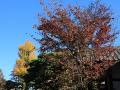 祐天寺は、東京都目黒区中目黒五丁目にある浄土宗の寺院です。山号は明顕山。本尊は祐天上人像（本堂安置）と阿弥陀如来坐像（寄木造、阿弥陀堂安置） 。現在の本堂は、元々は常念仏堂として建立された堂宇を再建したものです。 
