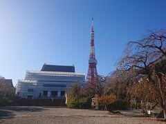 東京タワーが良く見える！
増上寺は工事中かしら。
ちょっと何かよく分からない感じですね･･･。