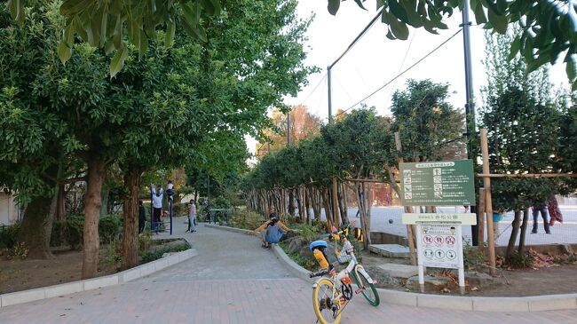 ロケ地巡礼 映画 東京公園と男三人で行く伊豆大島ｍｔｂ一周旅 ｇｏ ｔｏ 二回目 伊豆大島 東京 の旅行記 ブログ By まめこはさん フォートラベル