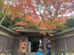 瑠璃光院に到着です。
今年は完全予約制のため3週間ほど前に予約しておきましたがそれでもかなり埋まっていたので人気がうかがえます。
入場料は一人2000円で非常に高いです。