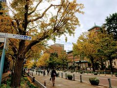 日本大通り。
私が横浜で一番好きな場所です。
神奈川県庁をはじめとした、近代建築が並びます。