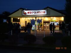 翌日の夕方

「伊豆ぐらんぱる公園」のイルミに行きました。