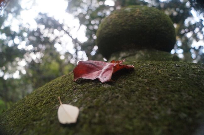 では、やはりここが卑弥呼の墓なのか。<br /><br />神功皇后と応神天皇を脇に従えて祀られて<br />いる比売大神とは卑弥呼なのか。<br /><br />石棺が２つあったとしたら、卑弥呼と次の<br />女王、壹与（いよ）の墓なのか。