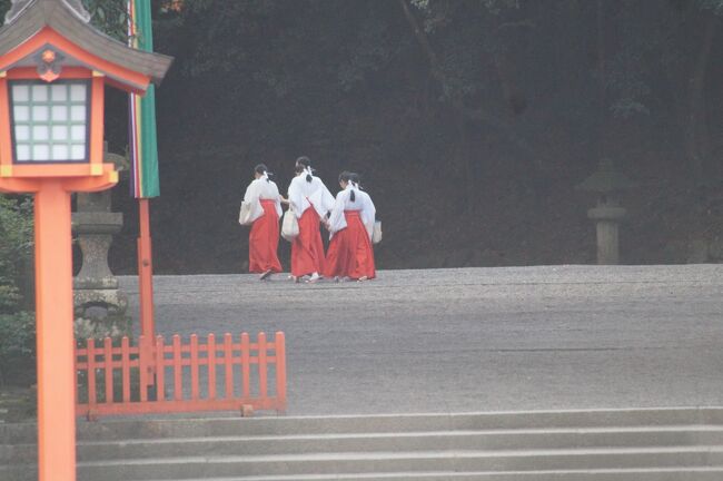 その先の参道を・・・、あっ、巫女さんだ！<br /><br />巫女さん待って！　ﾊｱﾊｱ(*´Д｀)・・・<br /><br />おっと、いかんいかん。あの方たちは神に<br />仕える方たち。<br /><br />そんな神聖な方たちを変な目で見てはバチ<br />が当たるというもの。慎まねば。
