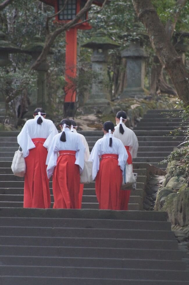 それにしても巫女さんって萌えるなあ。