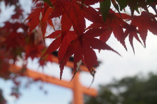 神話解析の手法によって、卑弥呼＝天照大神と<br />する研究者は多い。<br /><br />ここが、天皇家の祖神を祀る神社であり、かつ<br />廟であるのなら、祀られているのは卑弥呼と臺<br />与である可能性は高い。<br />