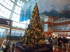 羽田空港第２ビルのクリスマスツリーです。早いもので、もうクリスマス。いつもなら、舞浜駅を行きかう人が11月に入るとクリスマスのイラストのショッピングバックに替わるので季節を感じてたのに。