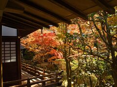 次の目的地は永観堂である。京都の紅葉といえば必ず登場する有名な場所だ。入場待ちの情報も多い。しかし、早めの訪問だったことが幸いして、すっと入場できた。お堂の中に入るのは、密を考えて遠慮してお池周りの庭園だけを見るつもりだった。しかし運転手さんは、大丈夫かもしれないとおっしゃるので、お薦めに従った。

入って良かった！　如何にも京都らしい紅葉風景にお目にかかったのだ。ゴチャゴチャとした人混みに出会ったのは、わずかであった。のどかな、この写真は1０時19分に撮った。