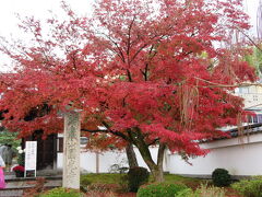 圓光寺。
臨済宗の寺院です。

詩仙堂から少し歩いたところにあります。
当日知ったのですが、何と予約制！！
事前に調べた時には気付かなかったのでちょっとショック。
まあ、入口だけ見ましょう！と寄ったところ、この時間は予約なしで入れますと書いてあるではないですか！！やった～。
