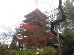 高幡不動尊 金剛寺